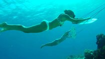 Sub Wing and Water Ski Adventure with Transfer - Hurghada