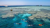 Tiran Island Snorkeling Trip W/Lunch & Transfer – Sharm El Sheikh