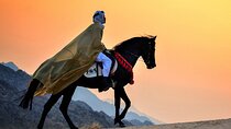  1 hour Horse Ride around Giza Pyramids
