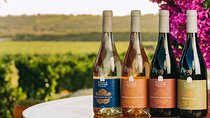 Wine Tasting & Tapas 4x4 Tours