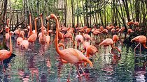 Transportation to the National AVIARY of Colombia