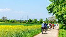 Countryside Bike Tour with Cheese Tasting From Amsterdam