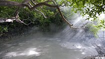 Private Tour Rincón de la Vieja Volcano and Oropendola Waterfall