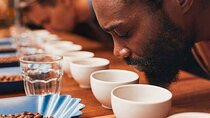 Coffee Experience in Dominican Republic with Local Tastings