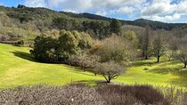Hahndorf and Hills Wildlife Wonders
