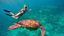 Gili Air : Private Snorkeling with 4 spots 