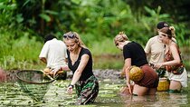 One Day in Ninh Binh Explore Scenic Highlights by Motorbike