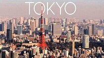 Private 1-Day Tokyo city tour with English speaking Driver 