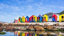 Best of the Cape Private full day tour