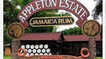 Luxury Transportation from Ocho Rios