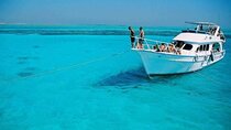 Glass Boat 1 hour Sea Trip with Transportations - Sharm El Sheikh