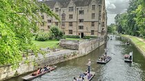 Private Transfer from London to Cambridge with Local Driver