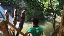 Minca Coffee Tour, Cocoa Tour and Waterfalls