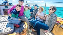 Key West Day Sail on Schooner America 2.0 with 2 Drinks