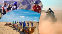 Marrakech Camel, Quad and Sunset paragliding in Agafay Desert 