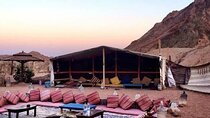 Luxor Star Watching Desert Adventure by Jeep with Dinner