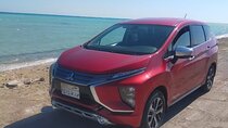 AC Cars with english speaking driver Half day at Luxor- West Bank