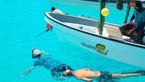Mnemba Island Snorkeling and Swimming with Dolphin