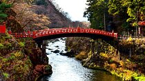 Nikko Private Sightseeing Customized English Day Tour