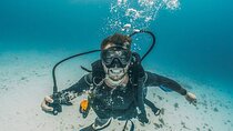 Ras Mohammed & White Island Diving Excursion - Sharm El Sheikh