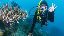 Daily Diving Experience with Lunch Included - Sharm El Sheikh