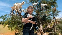 Goats in the Trees & Local Souk from Agadir/Taghazout