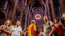 The best of Palma: walking tour, boat trip and Cathedral visit