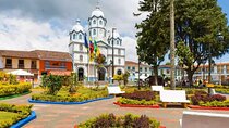  Cocora Valley, Salento and Filandia Tour