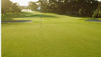 Experiencing Playing Golf in Stellenbosch and Wine Tasting