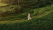 Ubud Highlight Private Full Day Tour All Inclusive with Lunch 