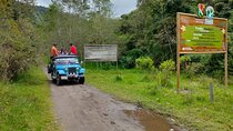Machin Volcano Hill Tour from Salento