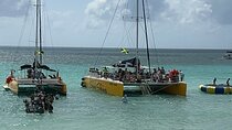 Catamaran Cruise and snorkeling to Rick’s Cafe 