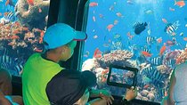 Semi Submarine Journey, Explore Underwater Wonders - Marsa Alam