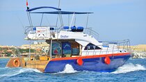 Private Boat to Dolphin House with Intro Diving & Lunch-Hurghada