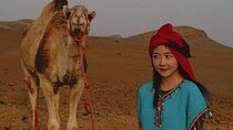 Marrakech desert dinner & sunset camel ride & bonfire music dance