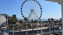 Small Group Wheel Ride Aquarium and Bird Park with Wine Tour