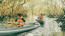 Bali Mangrove Forest Canoeing, Uluwatu Temple and Kecak Dance