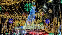 New Year in Tbilisi: Christmas Market and Hidden Gems Tour