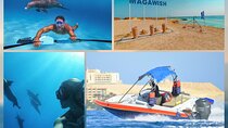 Dolphin House and Magawish Island by Private Speedboat - Hurghada