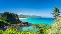 Tokyo Day Trip to Izu and Shimoda