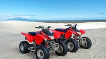 Private Day Tour to Atlantis Dune Quad Biking and Ostrich Farm