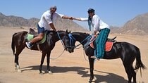 Desert Horse Riding Trip with Transfer - Sharm El Sheikh