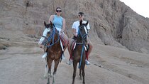 Exciting Horse Ride tour & Bedouin Dinner, Show - Sharm El Sheikh