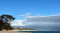 Maui Beach Hop