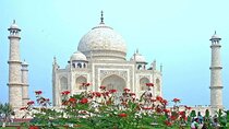 Delhi Agra Jaipur Golden Triangle Tour With Pushkar From Delhi 