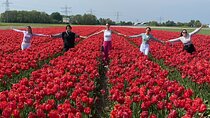 Amsterdam: Day trip to Tulip Farm, Keukenhof + Windmill Cruise