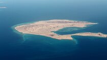 Tiran Island Snorkeling trip, Lunch & Transfer - Sharm El Sheikh