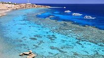 Tiran Island Snorkel & Dive Sea Trip With Lunch - Sharm El Sheikh