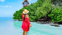 Holbox Island Adventure from Riviera Maya