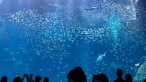 Xpark Aquarium, Gloria Outlets and Daxi Old Street with Tickets
